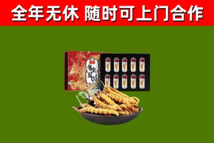 城关区烟酒回收冬虫夏草礼盒.jpg