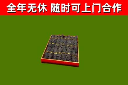 城关区回收海参